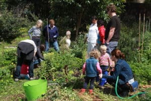 A group of people working on an allotment