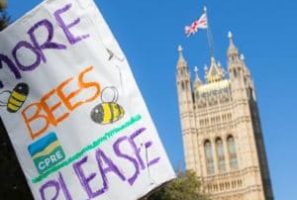 A banner reading More Bees Please being held near the Houses of Parliament