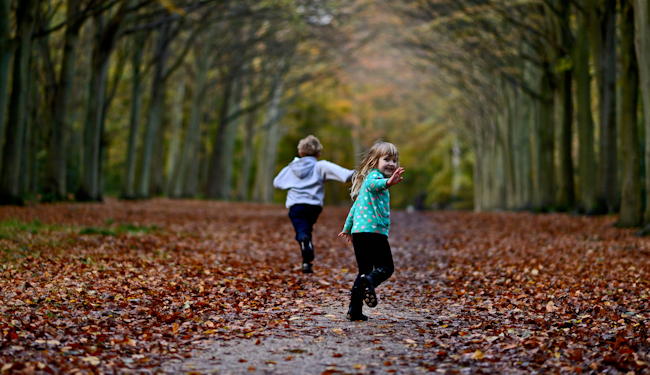 Young boy and girl playing in woodland in autumn Norfolk UK