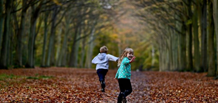 Young boy and girl playing in woodland in autumn Norfolk UK