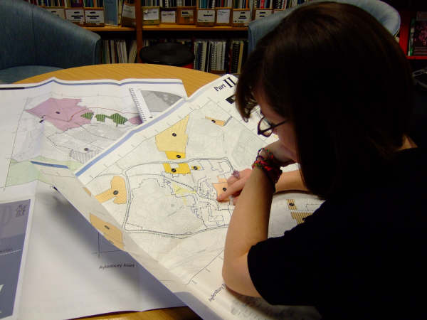 A woman studying a planning map