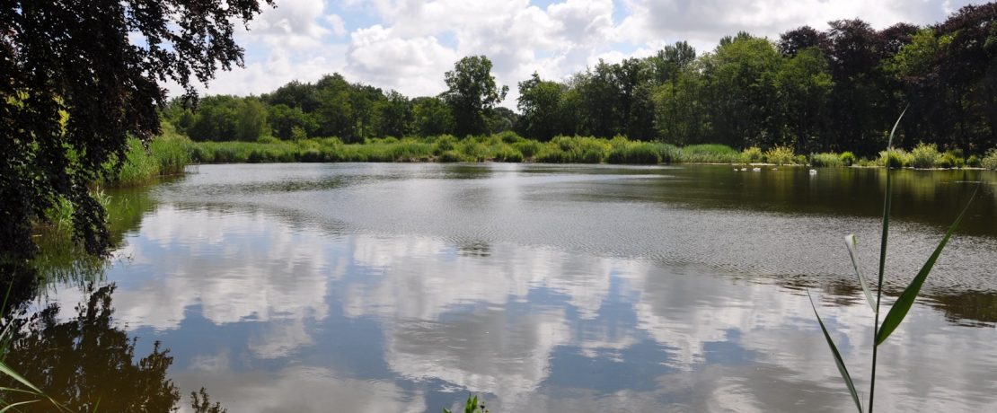 Selbrigg Pond a County Wildlife Site in the Upper Glaven