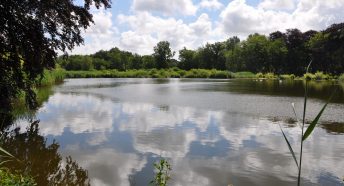 Selbrigg Pond a County Wildlife Site in the Upper Glaven