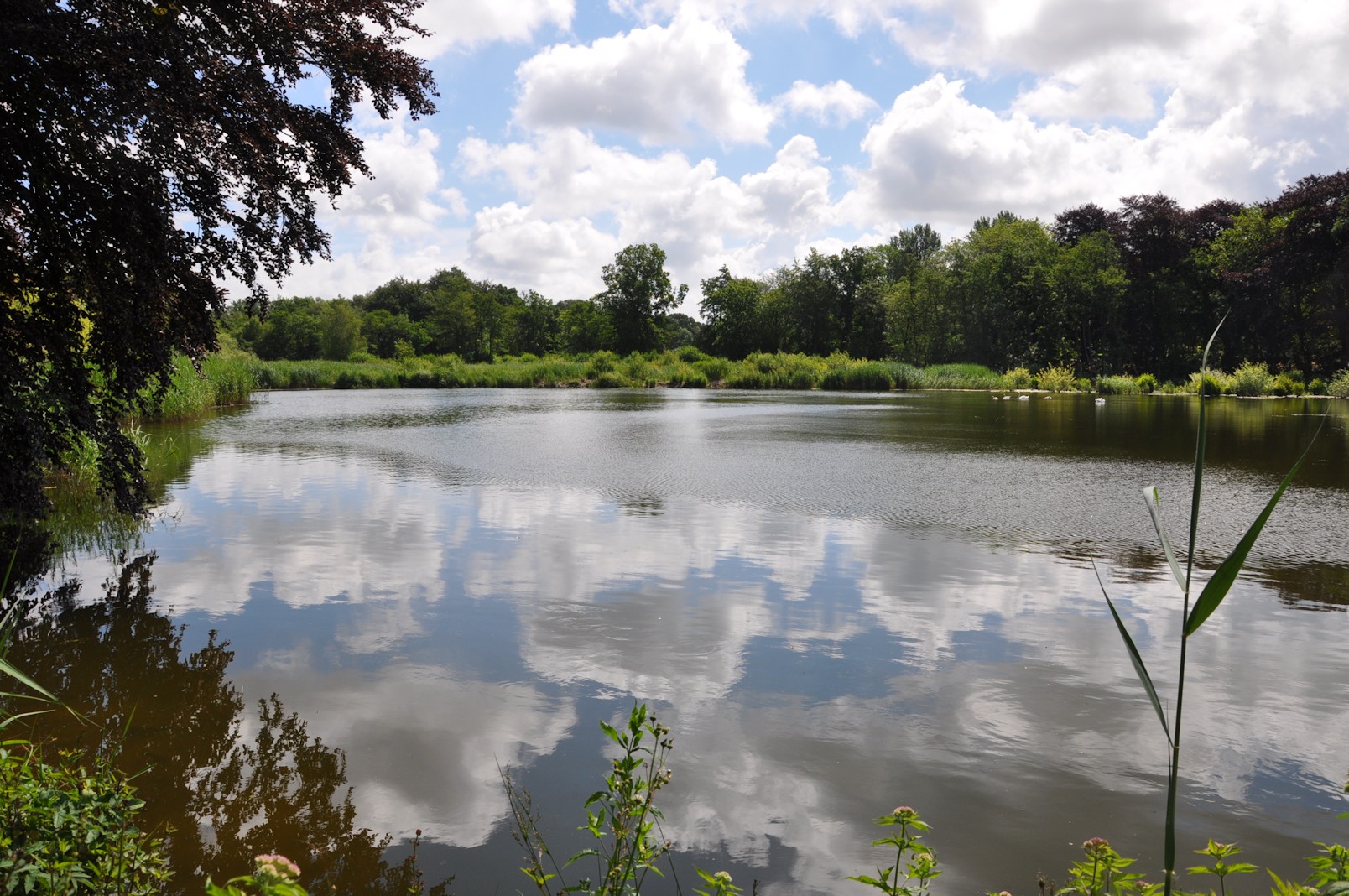 Selbrigg Pond a County Wildlife Site in the Upper Glaven