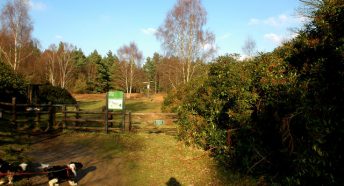 Entrance to Dersingham Bog, one of Norfolk's prime peatlands