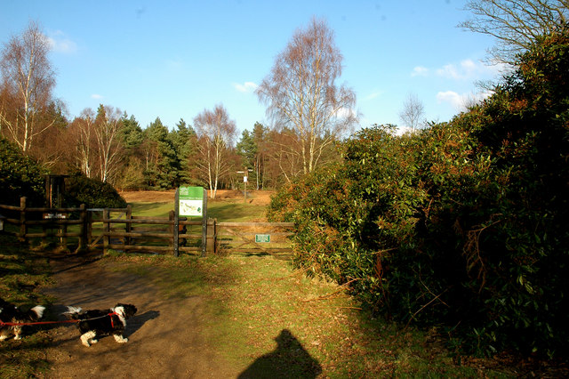 Entrance to Dersingham Bog, one of Norfolk's prime peatlands