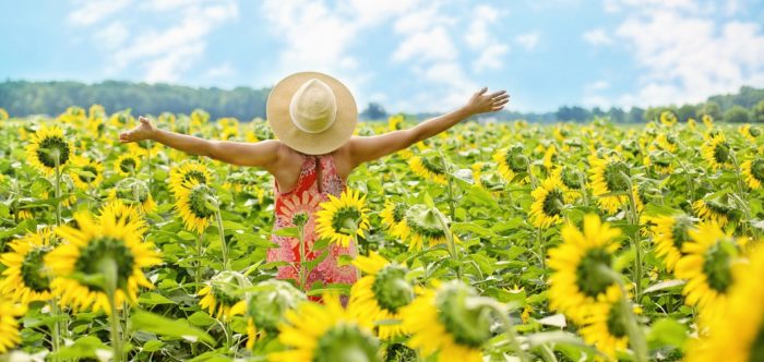 A woman celebrating in a field of sunflowers
