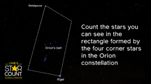 Count the stars in the constellation of Orion