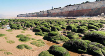 The layered cliffs and beach at Hunstanton.