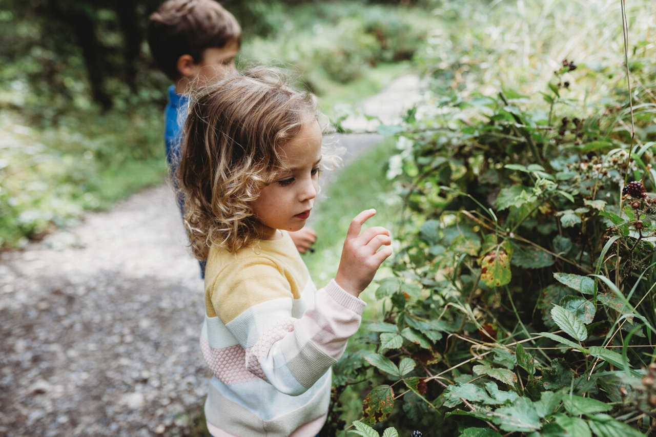 Two children looking at and touching a hedgerow