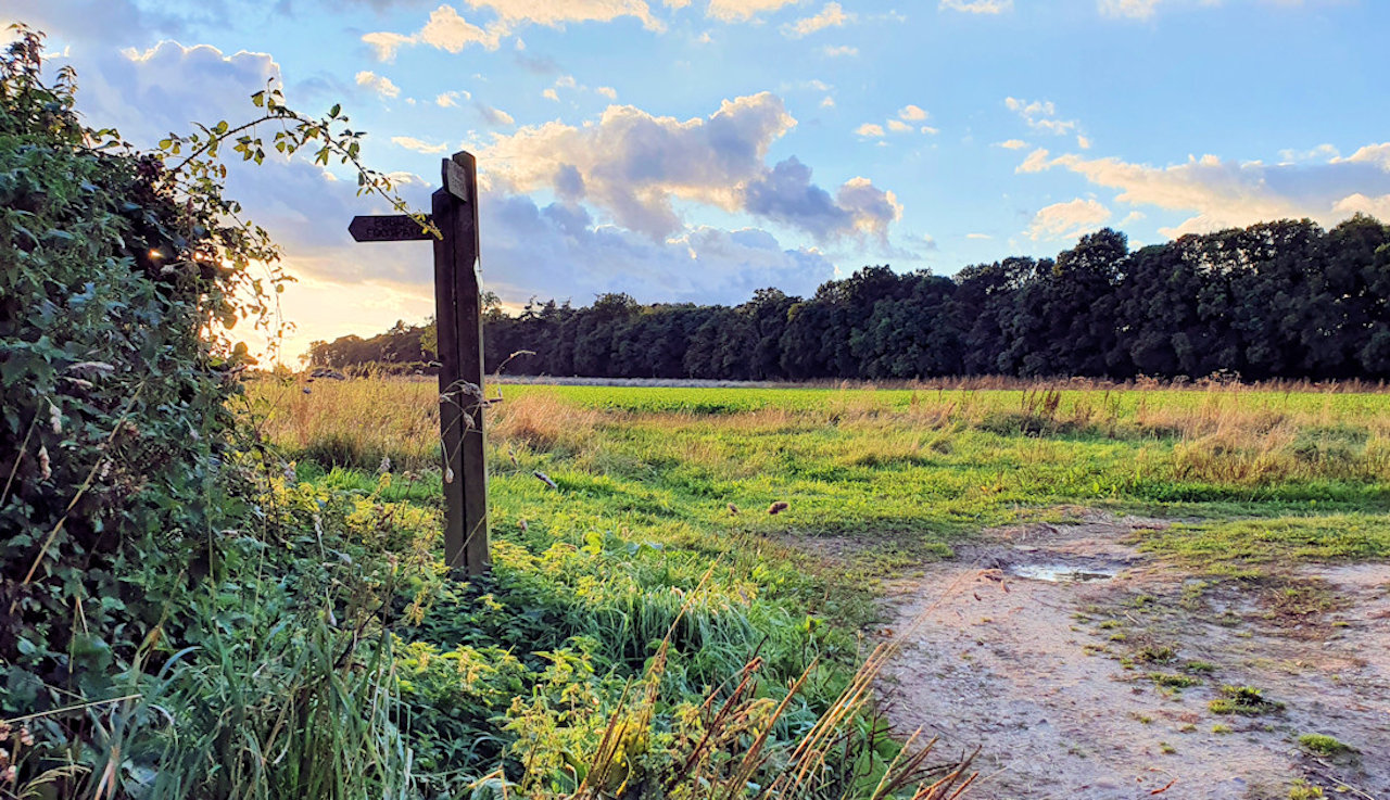 Footpath on a Norfolk landscape