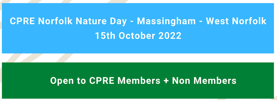 CPRE Norfolk Nature Day in Massingham