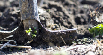 A spade digging in soil