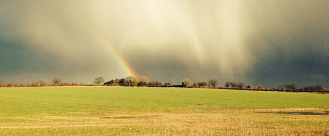 A rainbow and storm clouds over a green field in Norfolk