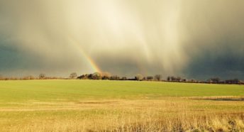 A rainbow and storm clouds over a green field in Norfolk