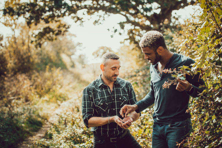 Two men picking blackberries from a hedgerow on a country path