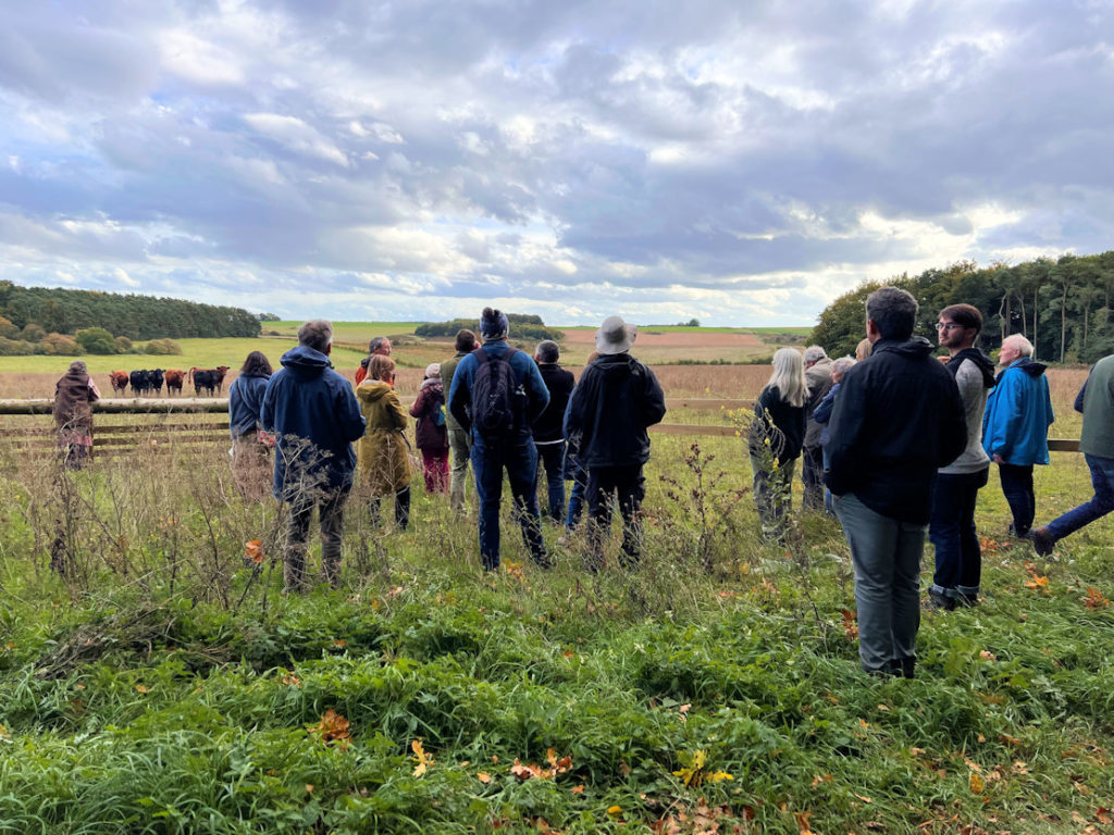 Open skies over heathland at Massingham