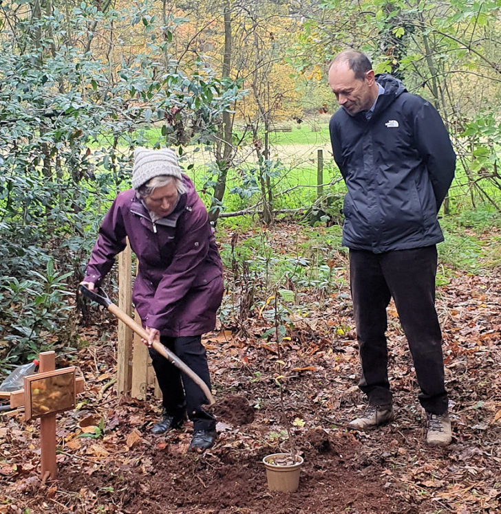 Diana Cooke planting a tree, watched by Chris Dady