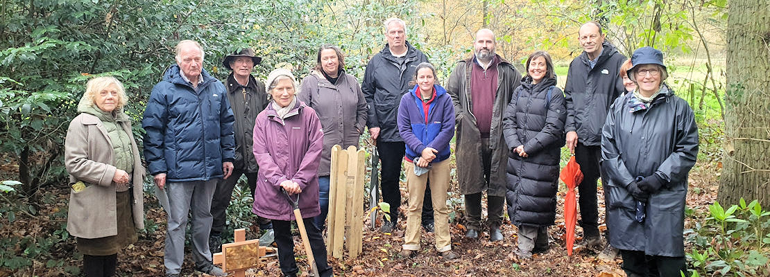 A group of people planting a tree