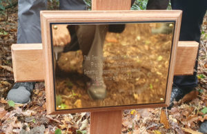 The memorial plaque placed next to the tree