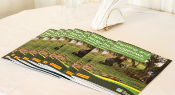 A pile of reports - Farming and Hedgerows: stretching the boundaries