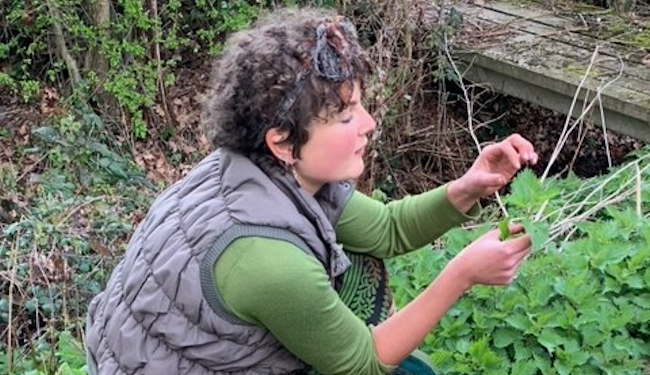 Katy Fullilove holding an edible flower and talking about it.