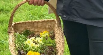 A basket containing foraged edible flowers and leaves.