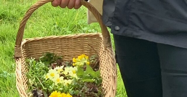 A basket containing foraged edible flowers and leaves.