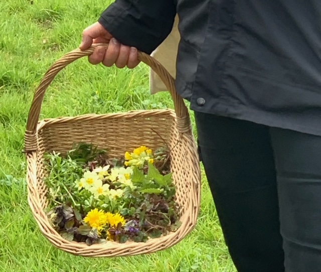 A basket containing foraged edible flowers and leaves.