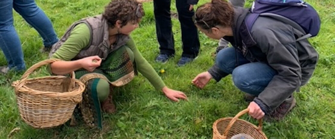 Two women with baskets forage for edible plants in the grass.
