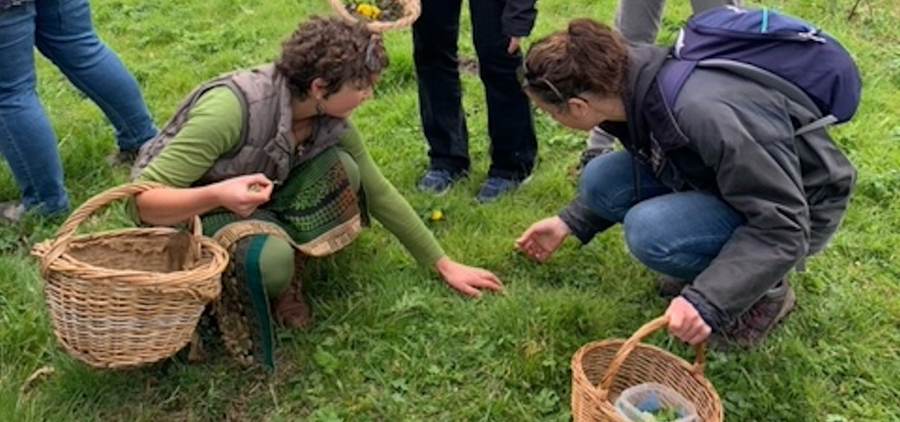 Two women with baskets forage for edible plants in the grass.