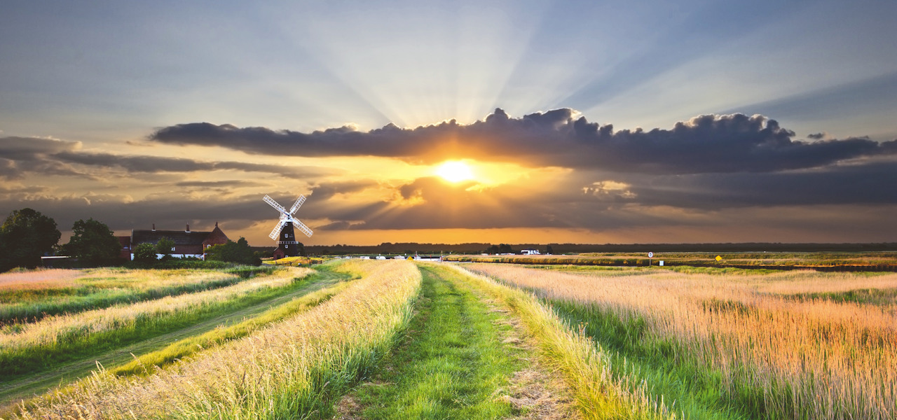 Sunrise over a Norfolk field of arable crops with a wind pump in the background.