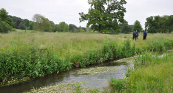 Bayfield River in North Norfolk