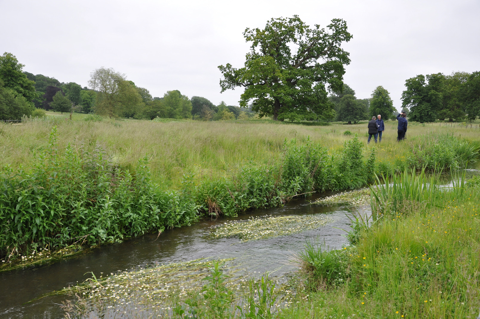 Bayfield River in North Norfolk