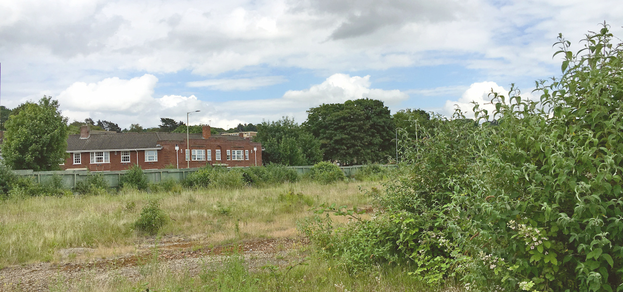 Overgrown wasteland and an abandoned building