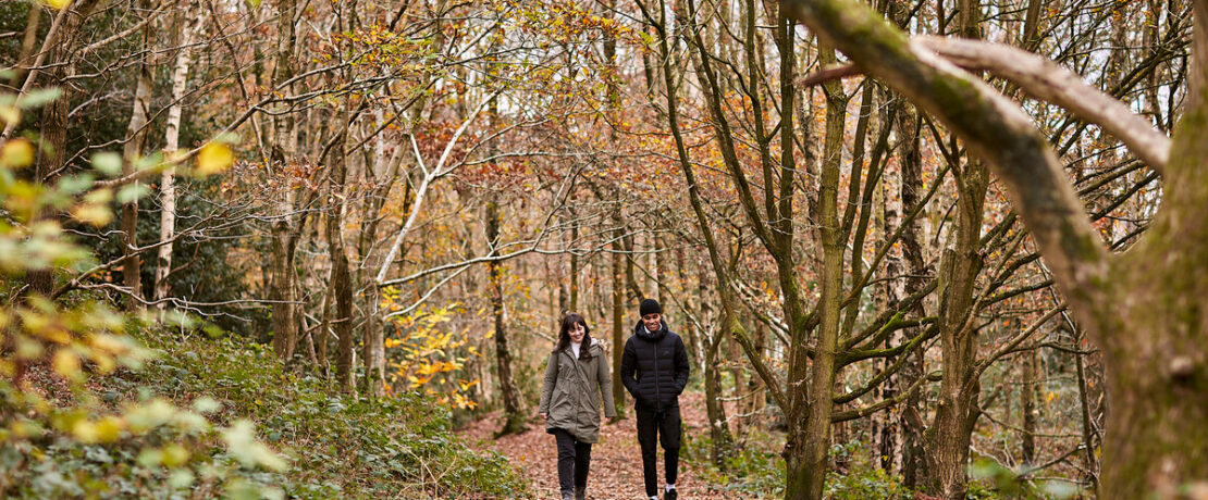 Woman and man walking through woodland