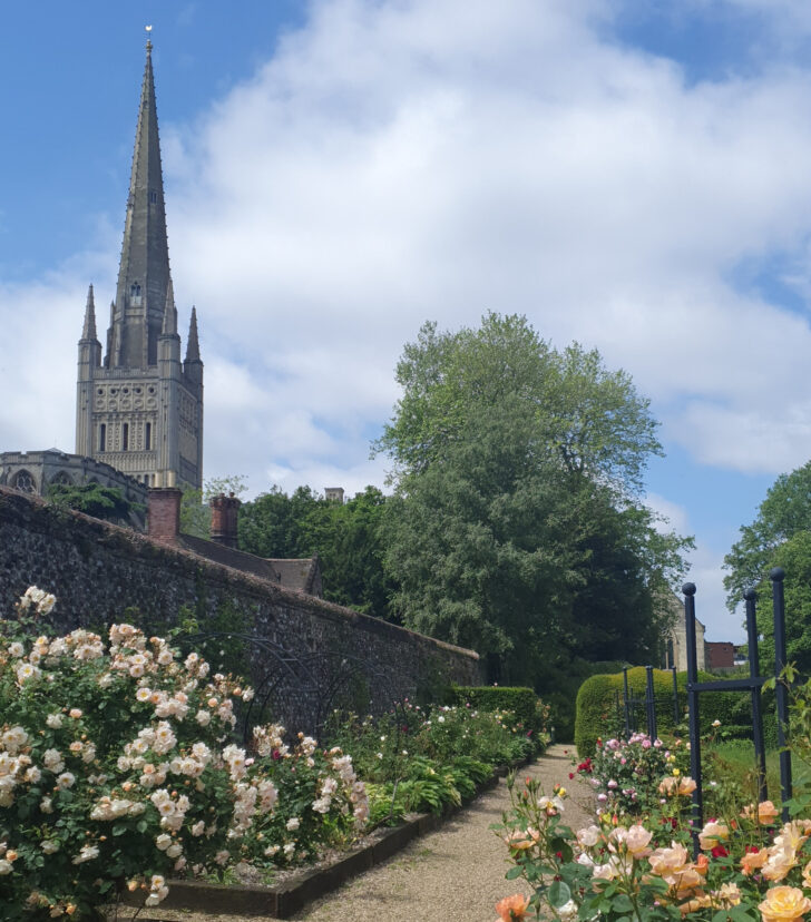 The rose path in the Bishop's Garden with the Norwich cathedral spire in the background.