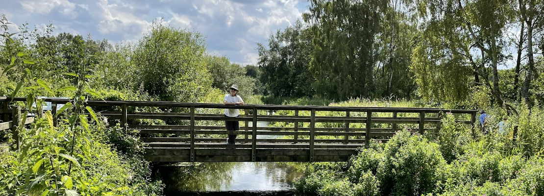 The 'Kingfisher Bridge', Pensthorpe Natural Park