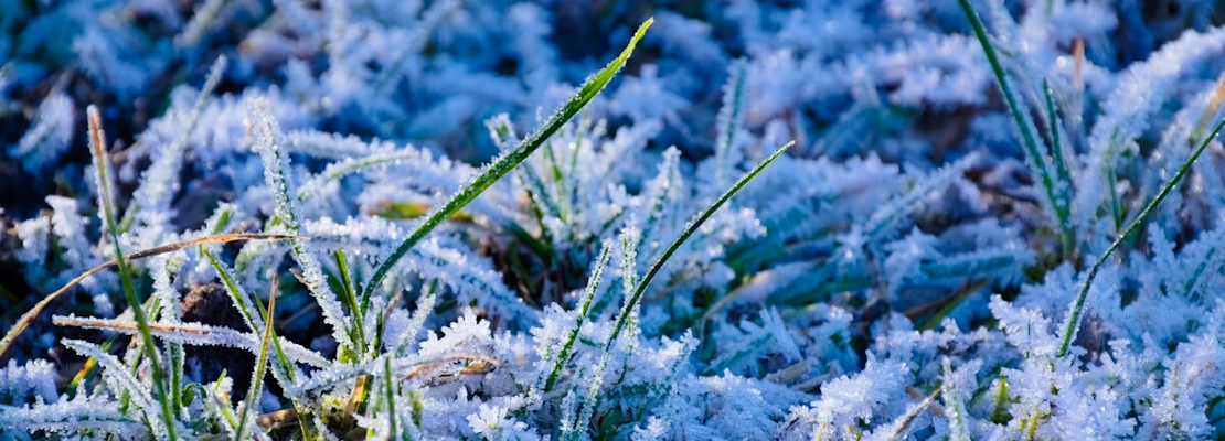 Close up of winter frost on grass