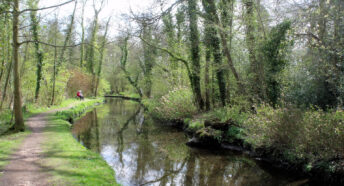 Fairhaven Woodland and Water Garden in South Walsham, Norfolk (in the Norfolk Broads).