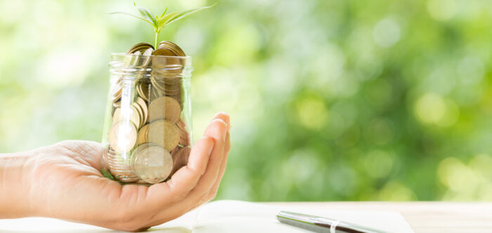 Woman hand holding plant growing from coins bottle in the on blurred green natural background