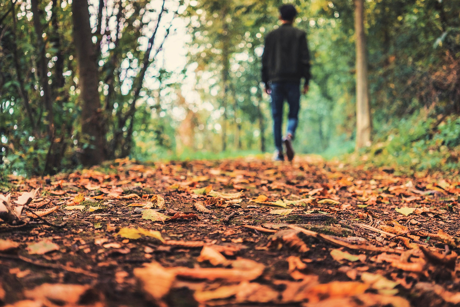 A man walking away from the camera through autumn leaves in woodland
