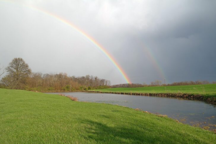 A rainbow over a pond in a field