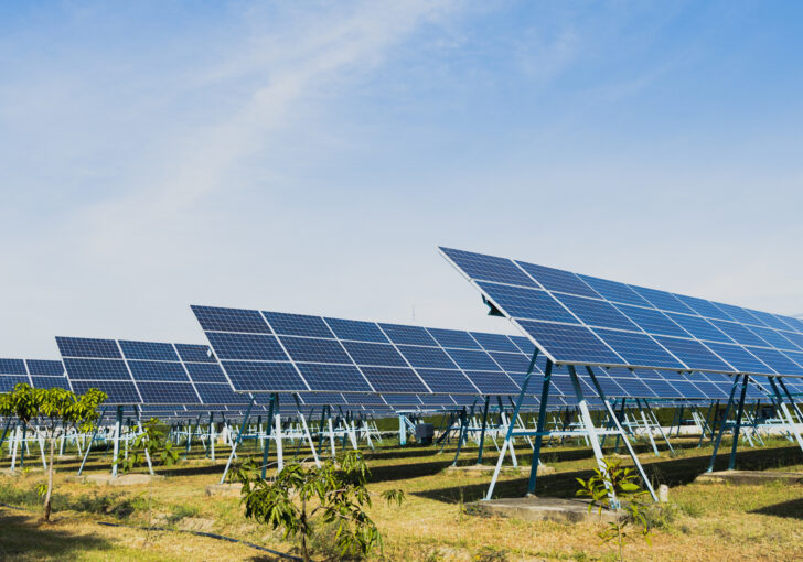 A huge bank of land based solar panels in a field