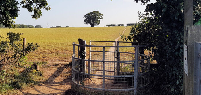 A countryside landscape showing a 'kissing gate' which marks the start of a well trodden public footpath across a green field.