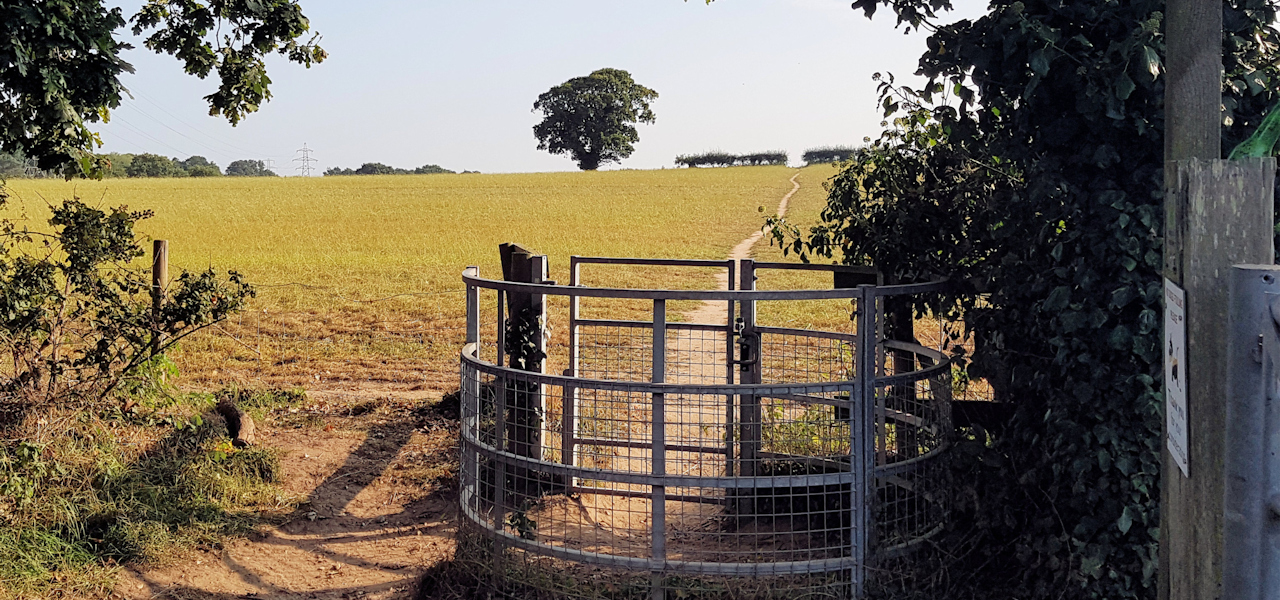 A countryside landscape showing a 'kissing gate' which marks the start of a well trodden public footpath across a green field.