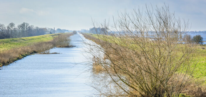 A river stretching away from the camera to the horizon with a green bank dotted with trees on each side.