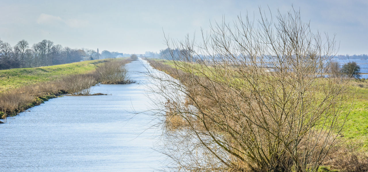 A river stretching away from the camera to the horizon with a green bank dotted with trees on each side.