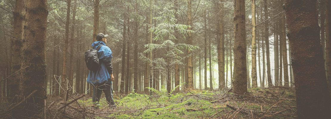 A man wearing a blue raincoat standing alone in a forest in winter.