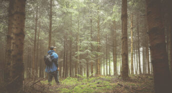 A man wearing a blue raincoat standing alone in a forest in winter.